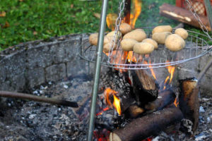 Kartoffelfeuer, Kürbisschnitzen und Pflanzentausch am 27.10.2024