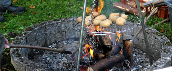 Mehr über den Artikel erfahren Kartoffelfeuer, Kürbisschnitzen und Pflanzentausch am 27.10.2024