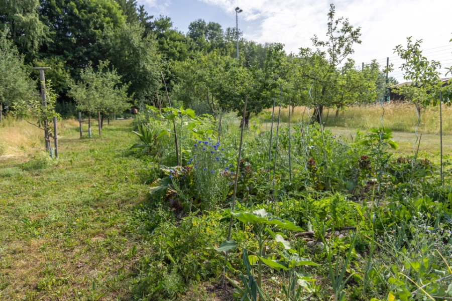 Gilchinger Beete für Familien im Lehrgarten Gilching