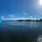 Kaiserwetter am Staffelsee